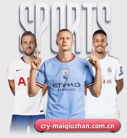 五大服务分区,信息按项目分类